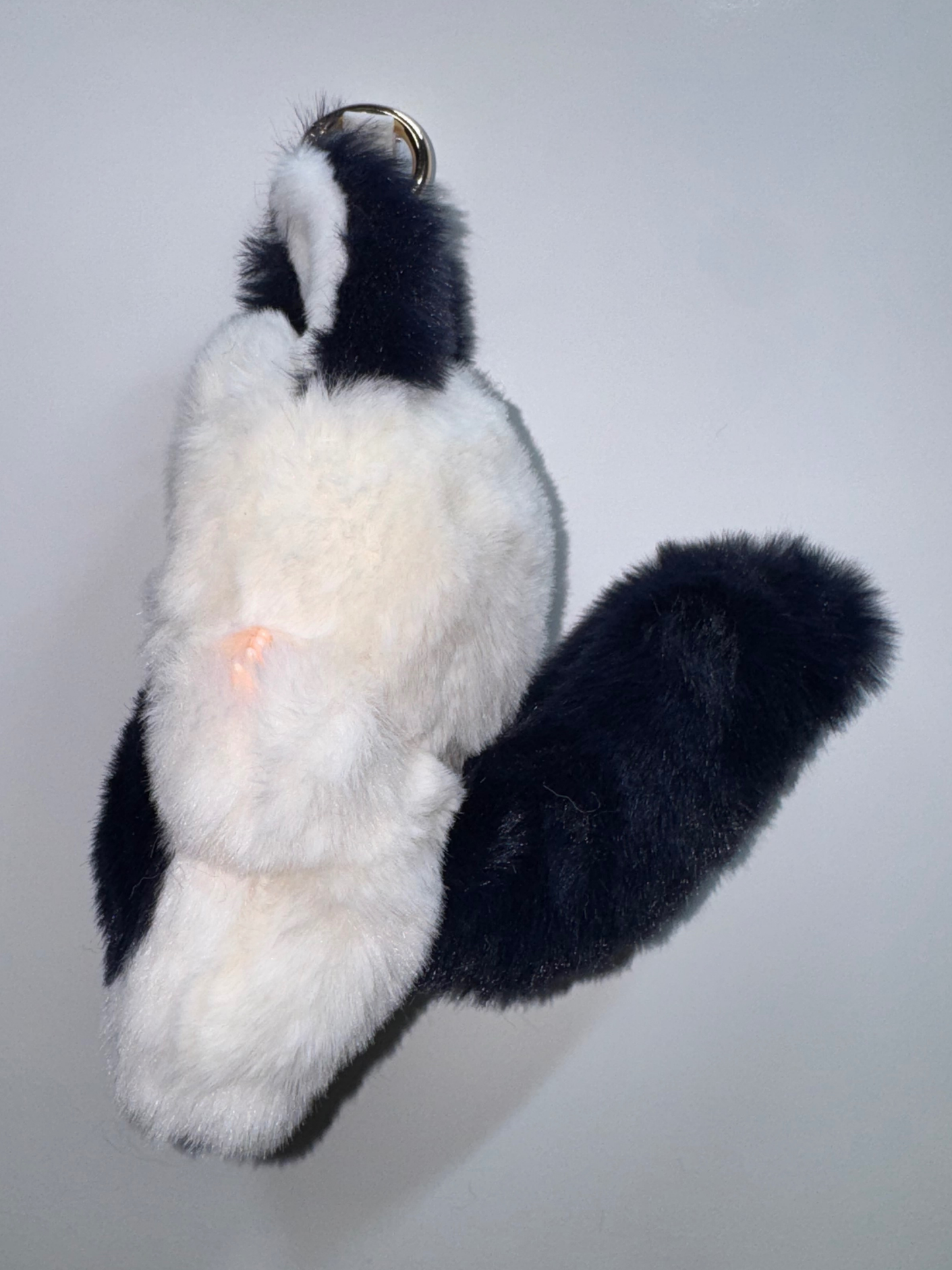 #293 Fox Baby Three