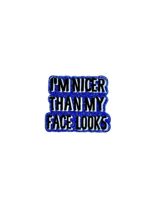 I'm Nicer Than My Face Looks Acrylic