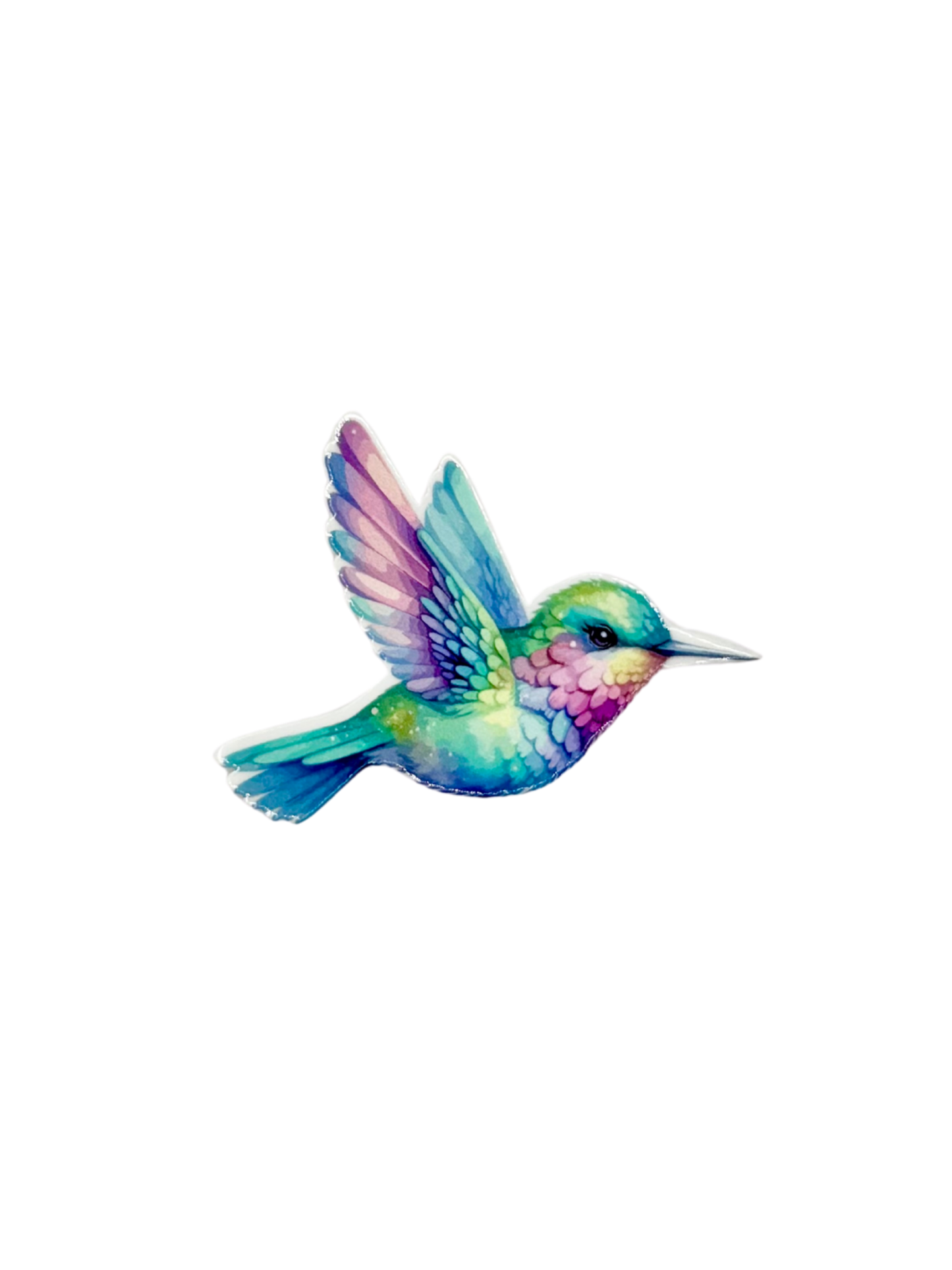 Hummingbird Acrylic