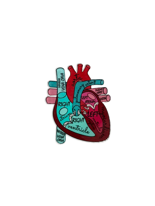 Heart Acrylic