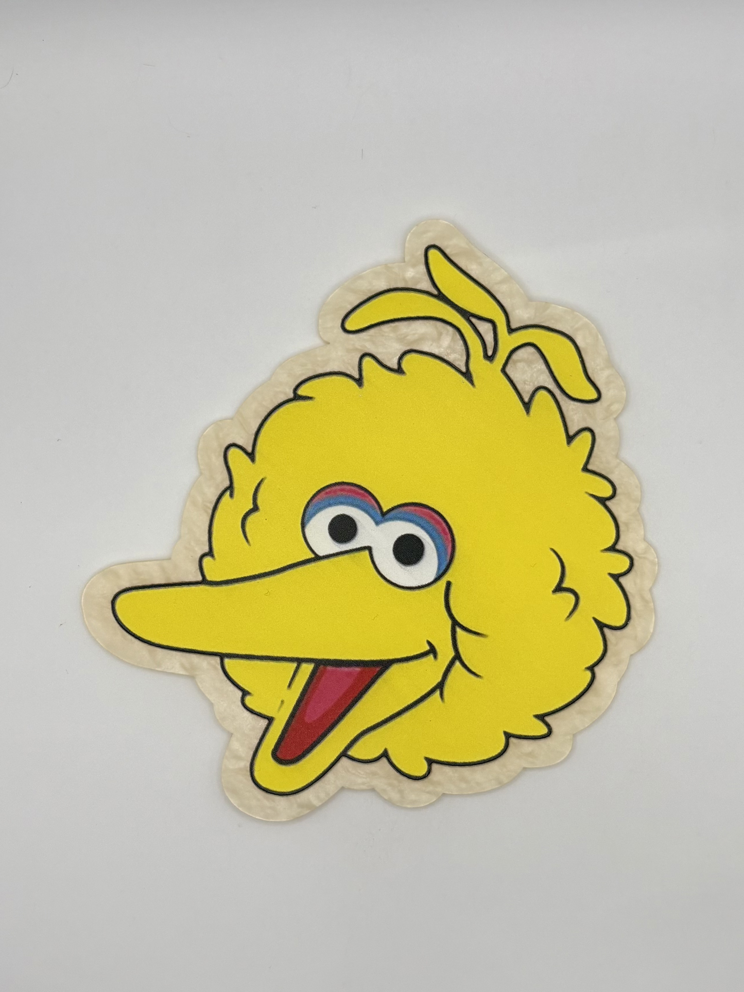 Bird Acrylic