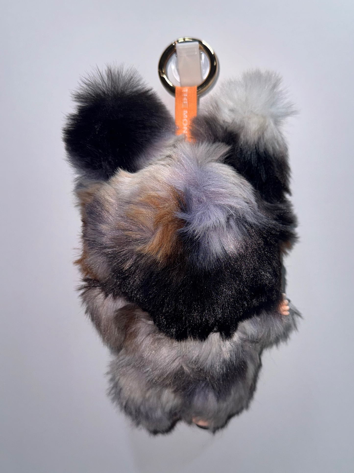 #282 Fox Baby Three